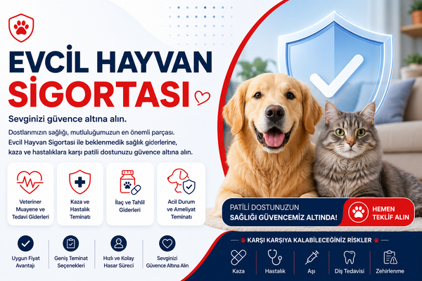 Evcil Hayvan Sigortası